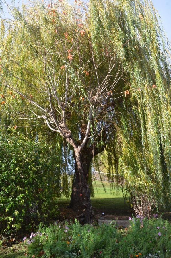 FurdenheimDomaine Des 4Roses -Spa Et Serenite别墅 外观 照片